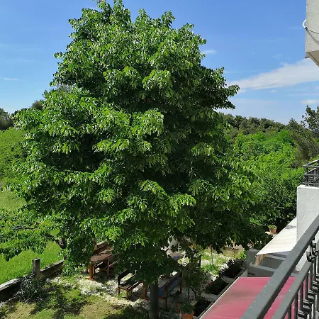 & Hegic Apartment *
